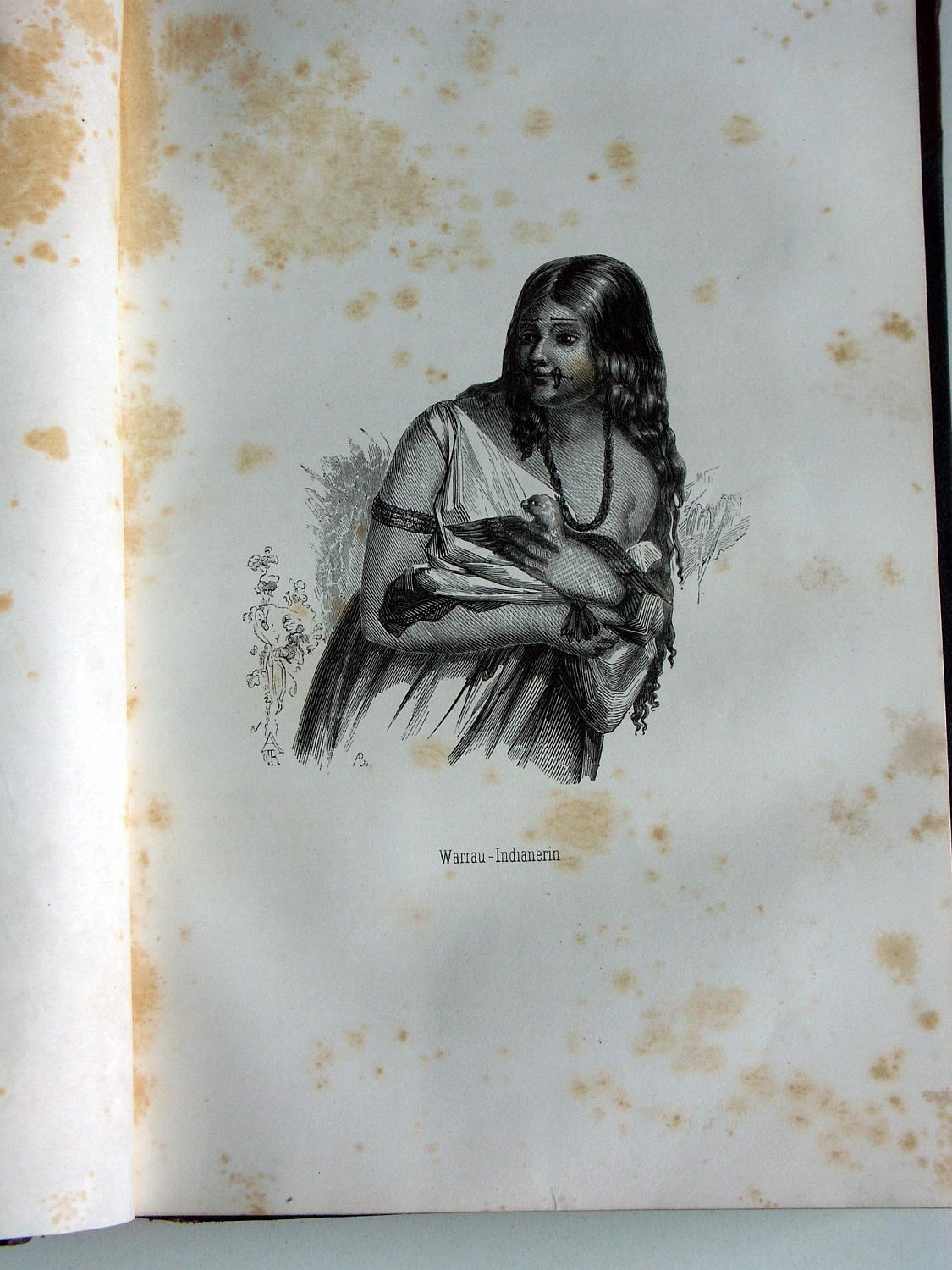 ZZ-RISC47,S.120b Warrau,Frau,Richard Schomburgk,1840-44